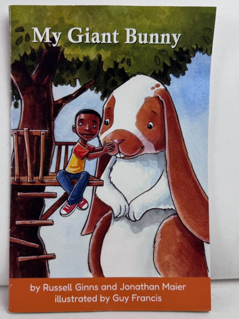 Hooked On Phonics My Giant Bunny Learn To Read Steps 23 24 Russell Ginns Book